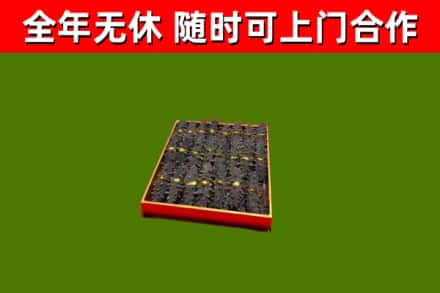 文安县回收海参